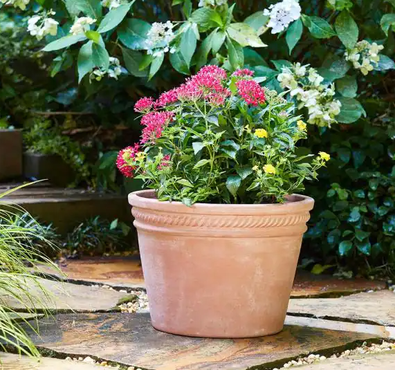 Southern Patio Michelle Large Terracotta Clay Planter